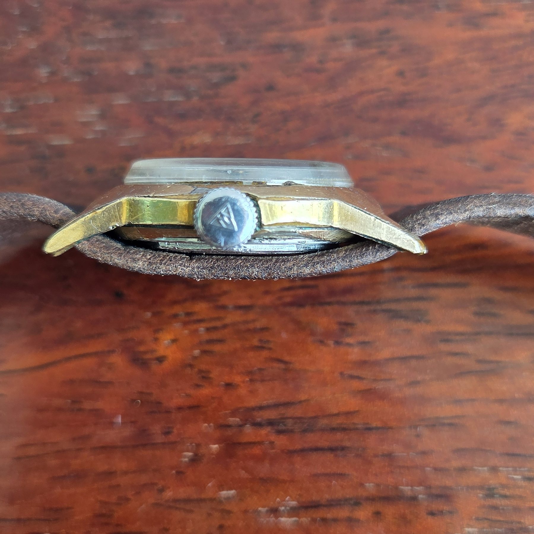 Profile view showing the case flank and the crown.